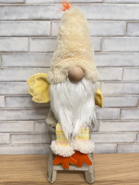 Feb 28th Build a Gnome Class